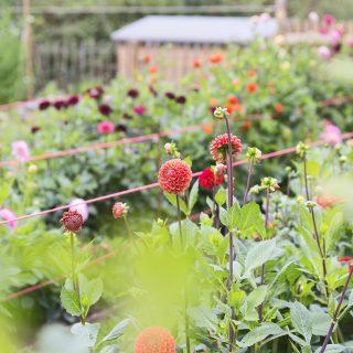 Just look at these exciting new ventures opening up in the Chilterns!