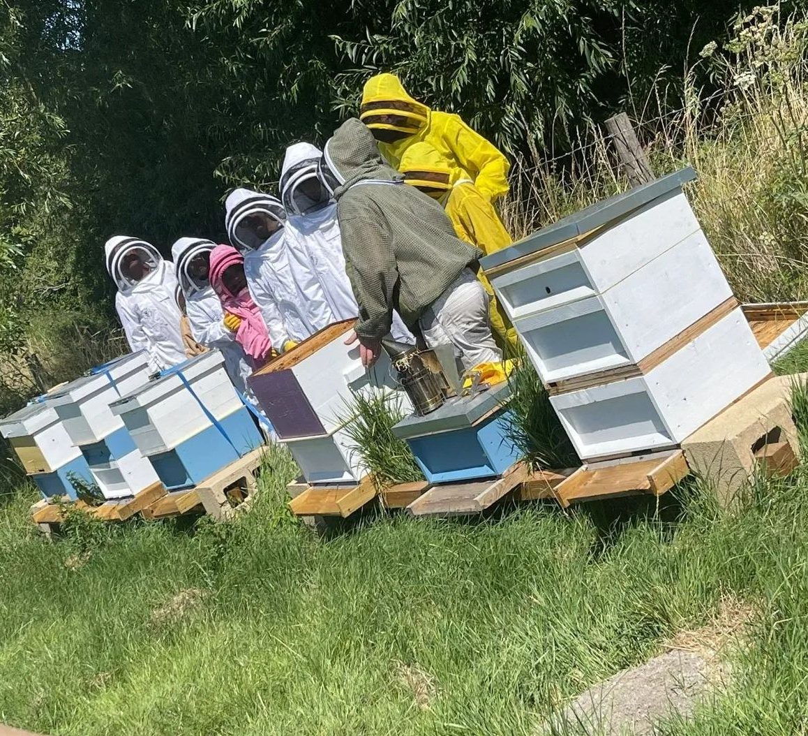 chiltern honeybees beekeeper experience day