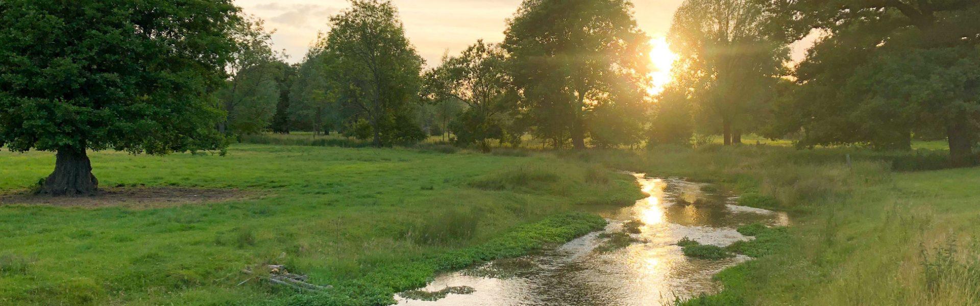 New planning guidance launched to protect fragile chalk streams