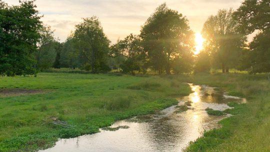 New planning guidance launched to protect fragile chalk streams