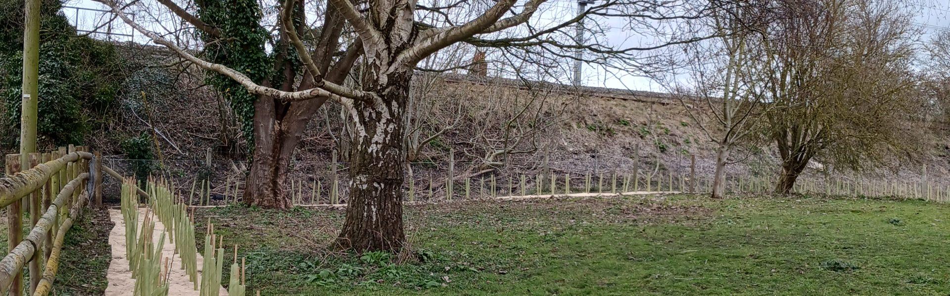 Please Mend the Gap: An update on our landscape enhancement project between Reading and Didcot