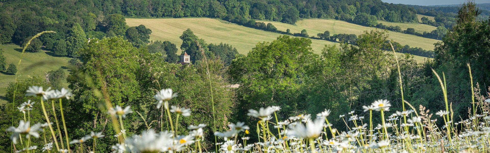 Four new Board members join Chilterns Conservation Board