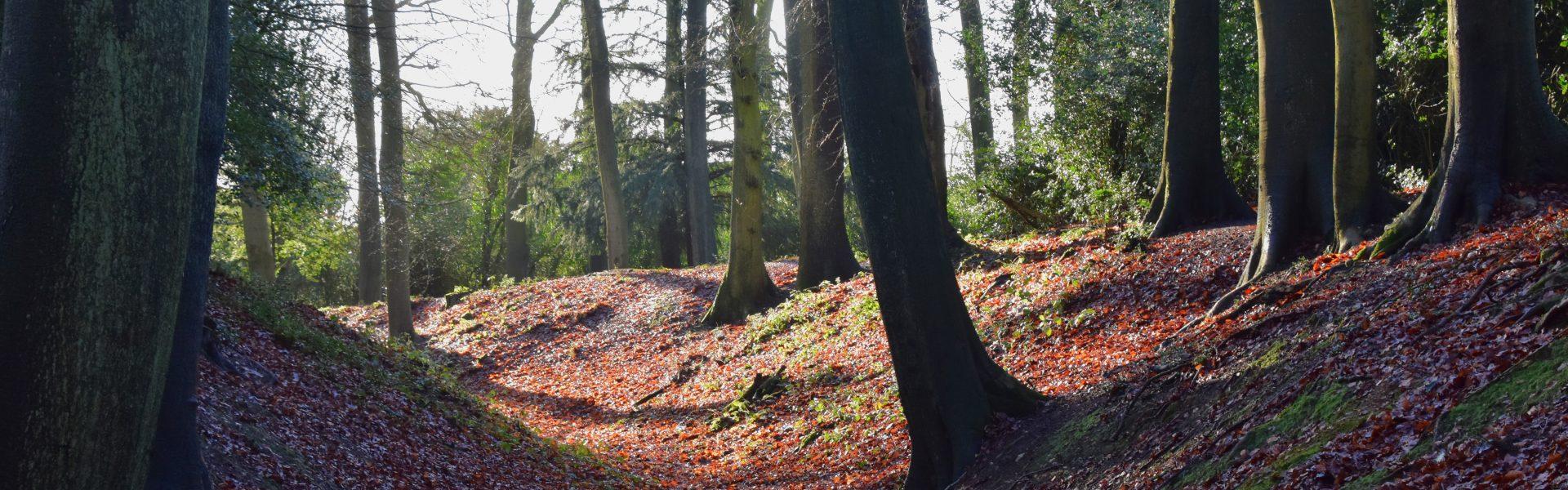 ‘Major victory’ for Beacons of the Past