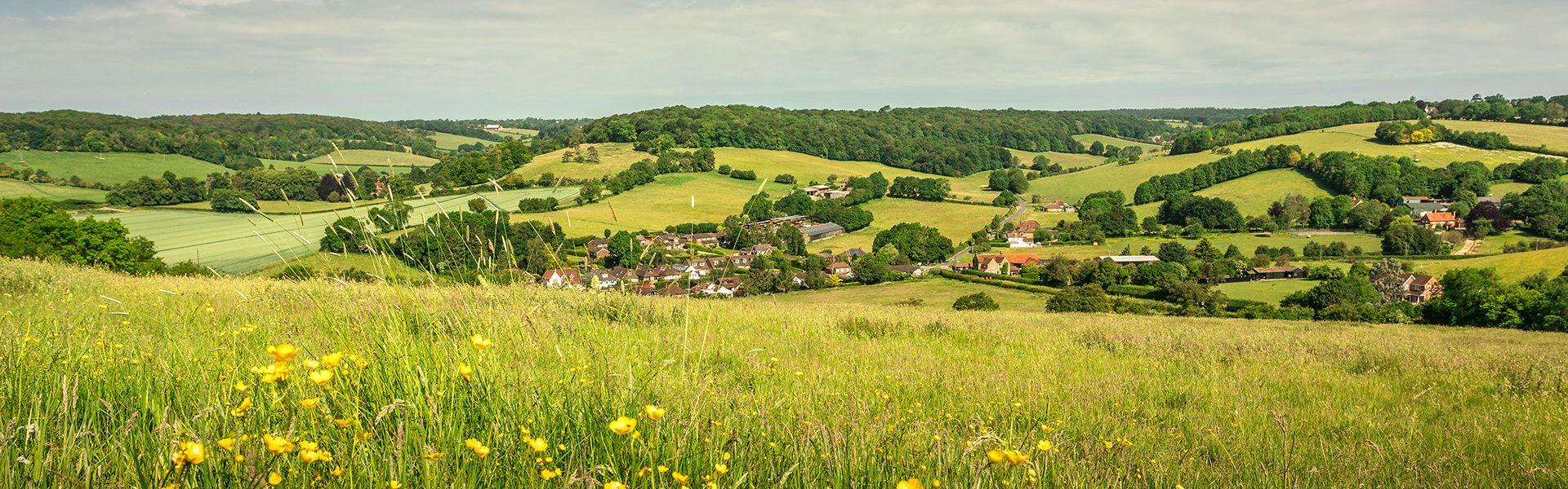 Chilterns Conservation Board welcomes Government pledges to boost nature and people’s access to the countryside