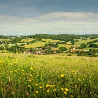 Chilterns Conservation Board welcomes Government pledges to boost nature and people’s access to the countryside