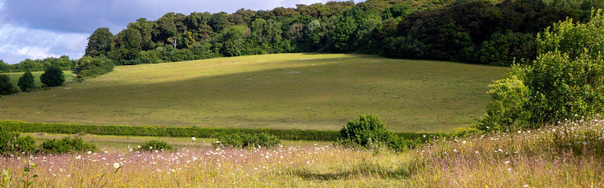 Managing your land for nature