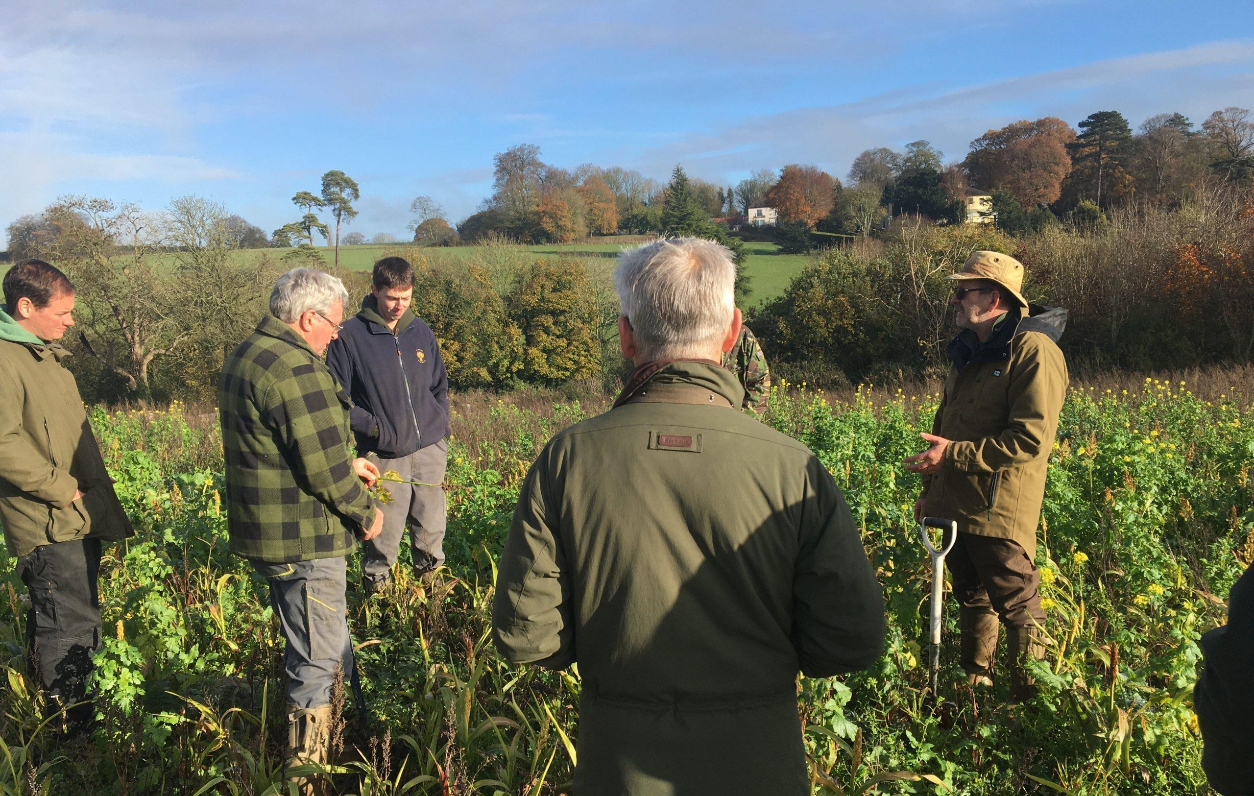 A group of 5 farmers standing in a field inspecting crops.