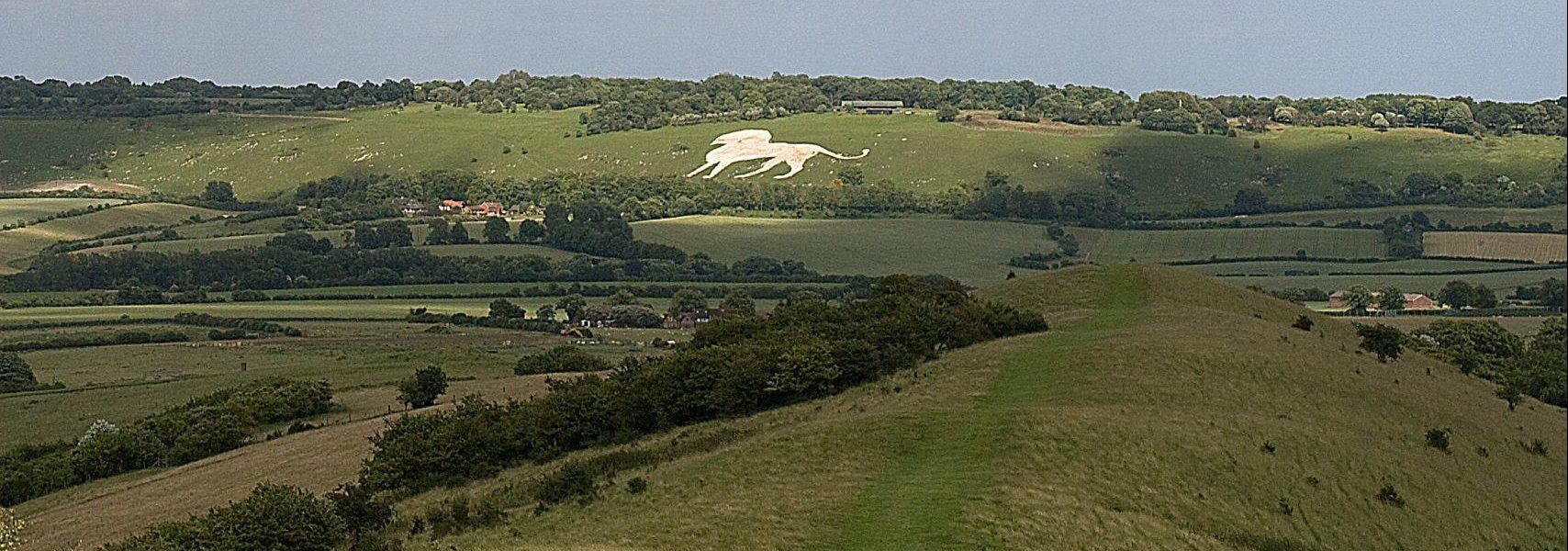 The history of Chilterns chalk figures