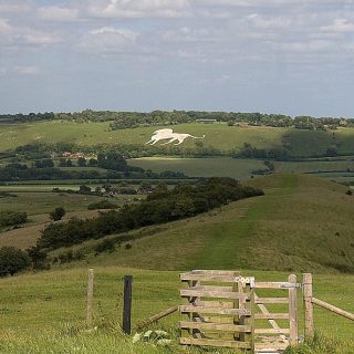 The history of Chilterns chalk figures