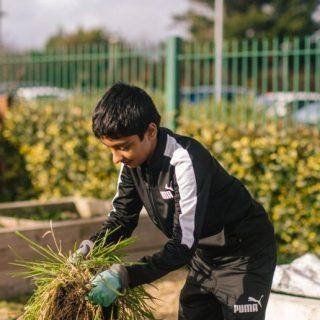 Mend the Gap: encouraging landscape literacy in local schools.