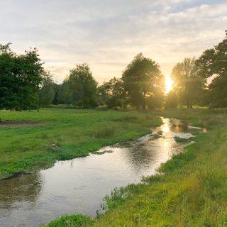 Position statement on sewage discharges in the Chilterns National Landscape