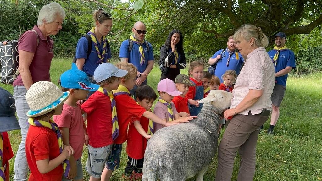 A group of Scouts petting a sheep.