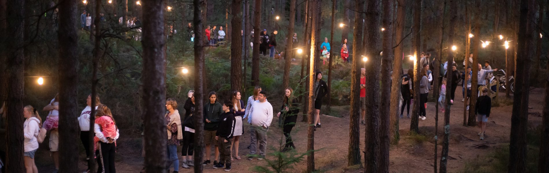 Calling all artists: new national arts programme