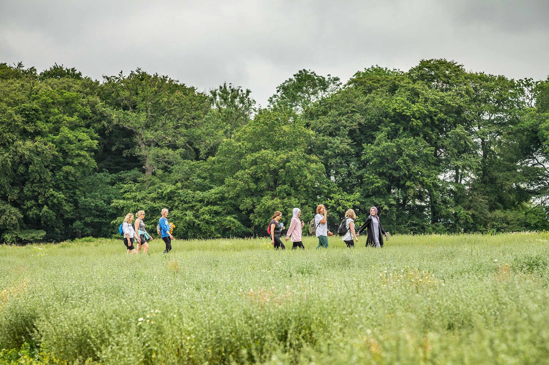 A group of women walk through a field.