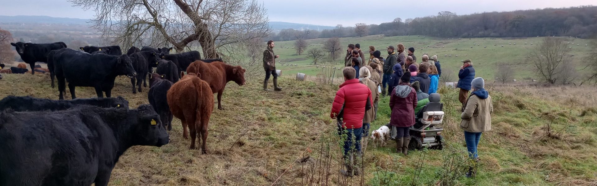 Case Studies: Farming in Protected Landscapes Projects 2023/2024
