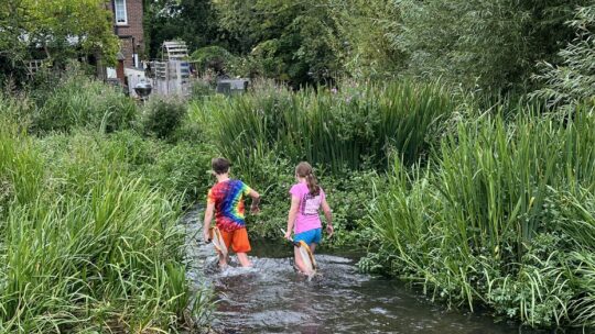 Things to do in the Chilterns this summer