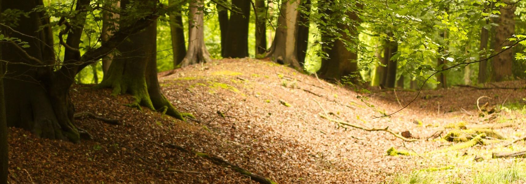 Take a look at our projects