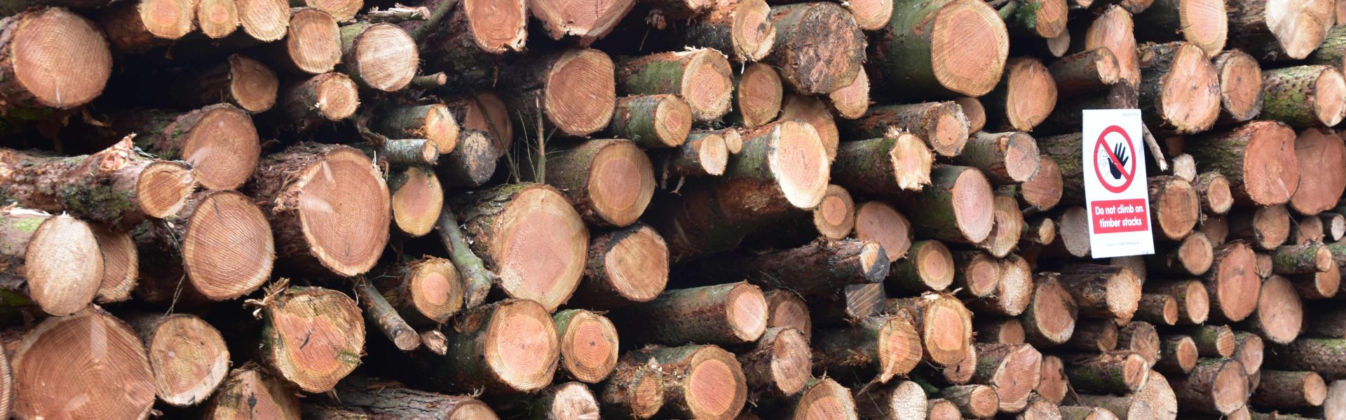 Think before you fell