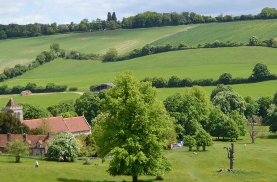 Chalk, Cherries & Chairs