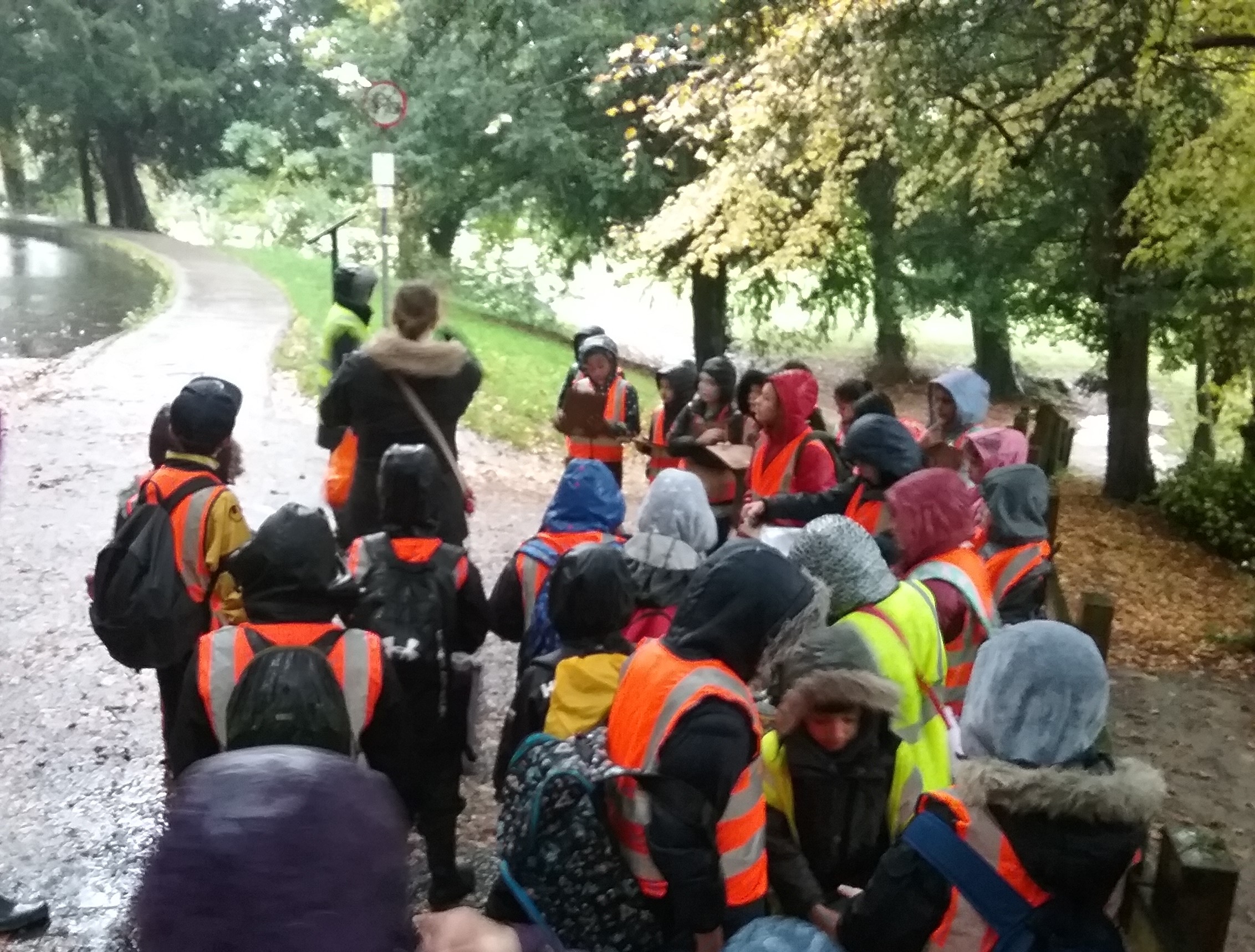 Understanding the Chilterns - Hughenden Dyke - schools trip