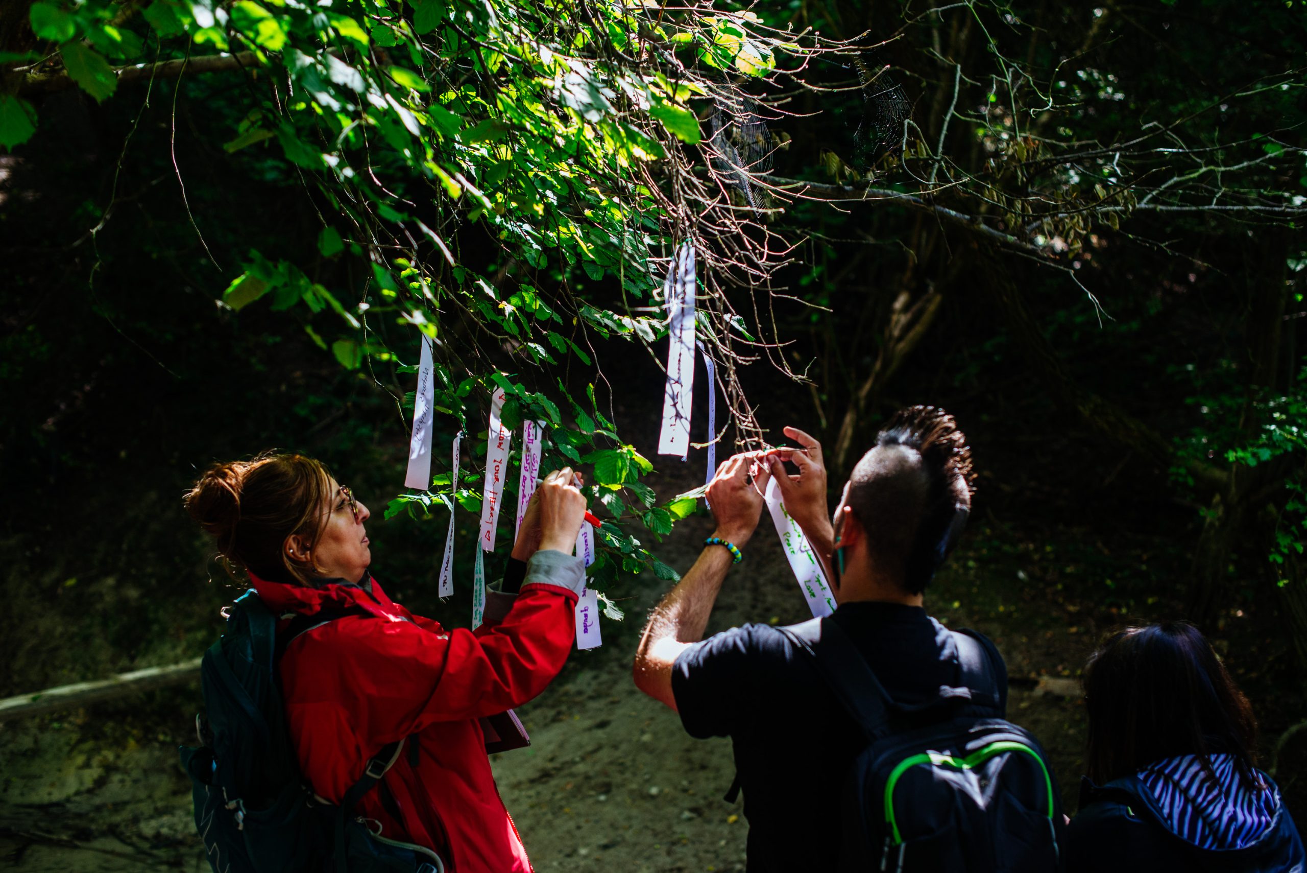 Two people facing away from the camera. They are tying ribbons or pieces of paper with words written on them to the branches of a tree. The trees leaves are green.