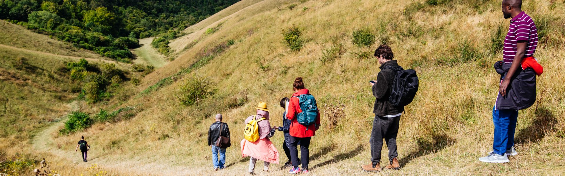 Nature Calling: read new poetry inspired by the Chilterns