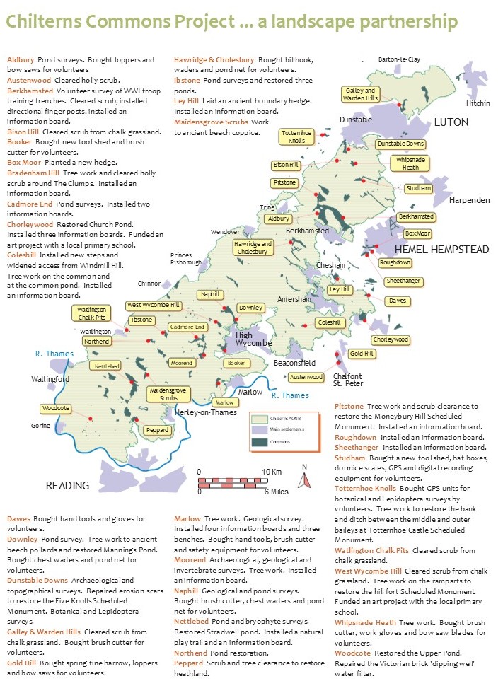 commons_project_final_reportp7