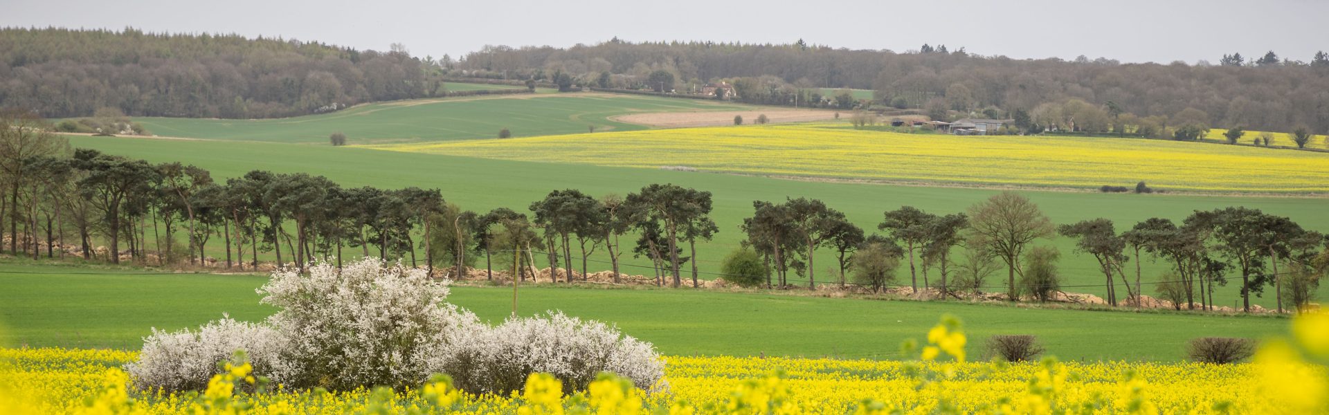 An update on our management plan