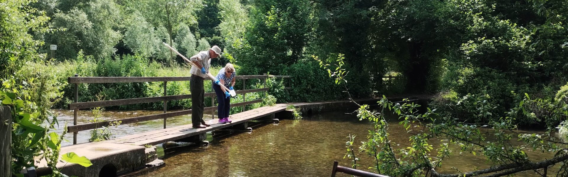 New citizen science report highlights critical findings