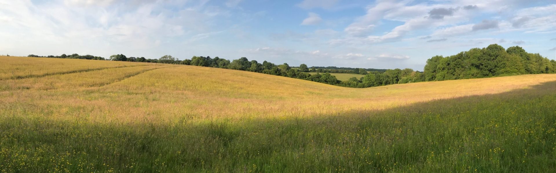 An update on our new management plan