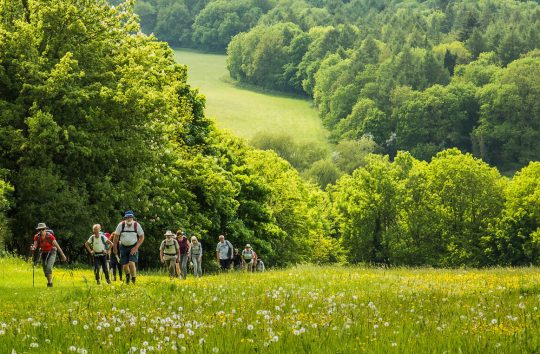The Management Plan for the Chilterns National Landscape
