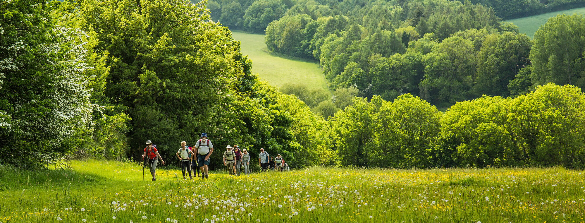 The Management Plan for the Chilterns National Landscape