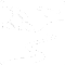 white out cnl favicon