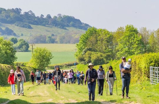 Map and visitor guide