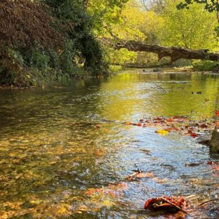 Chilterns Chalk Streams Project set to 'Mend the Misbourne'