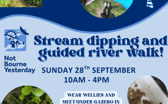 NBY National River’s Day poster