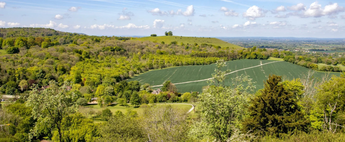 beacon-hill-view-from-coombe-hill-chilterns-01