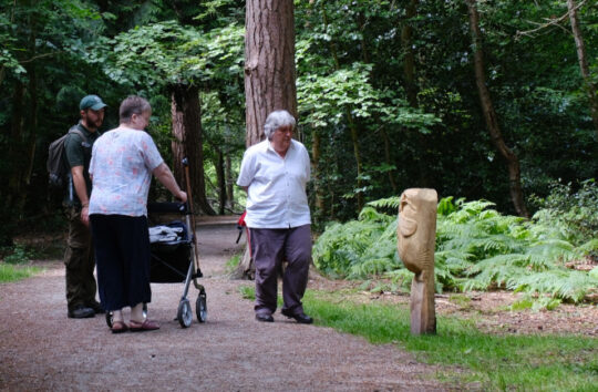 burnham-beeches-02 (1)
